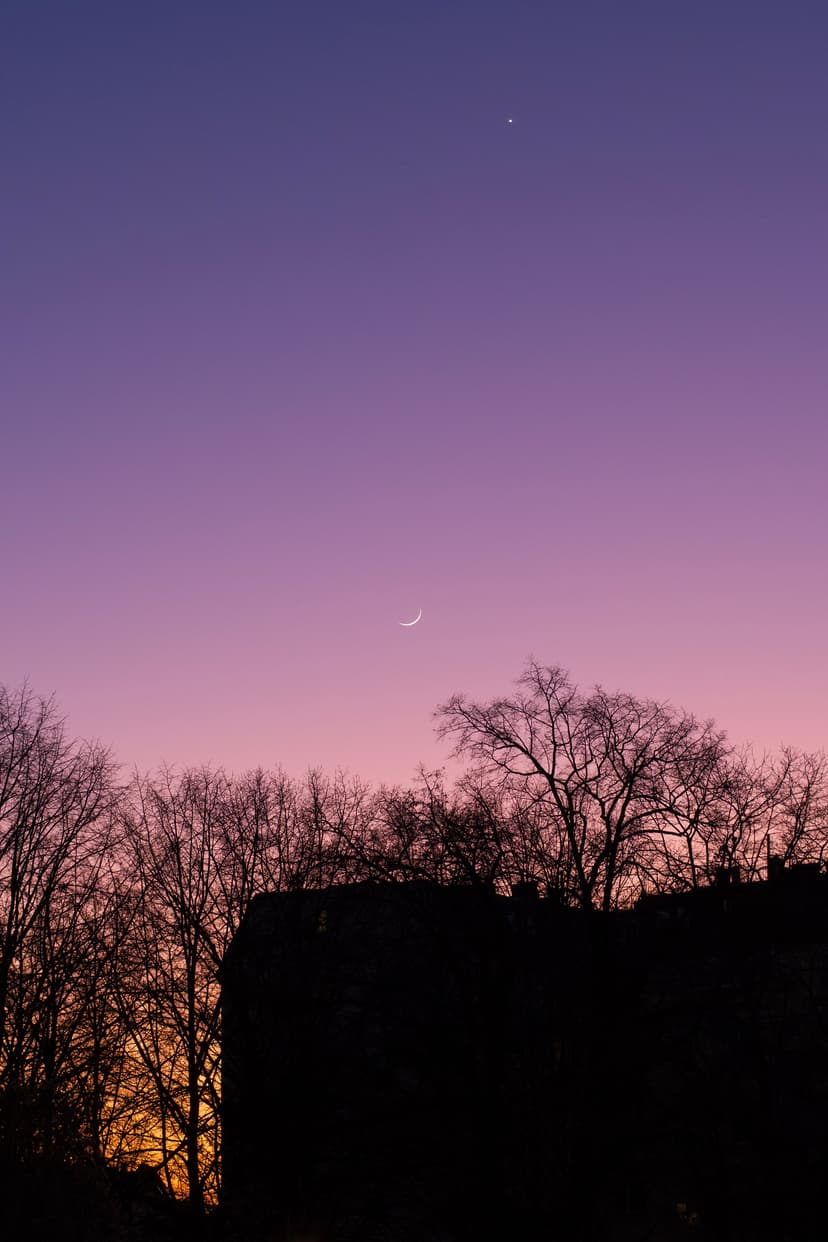Maybe Venus. Berlin, Germany.