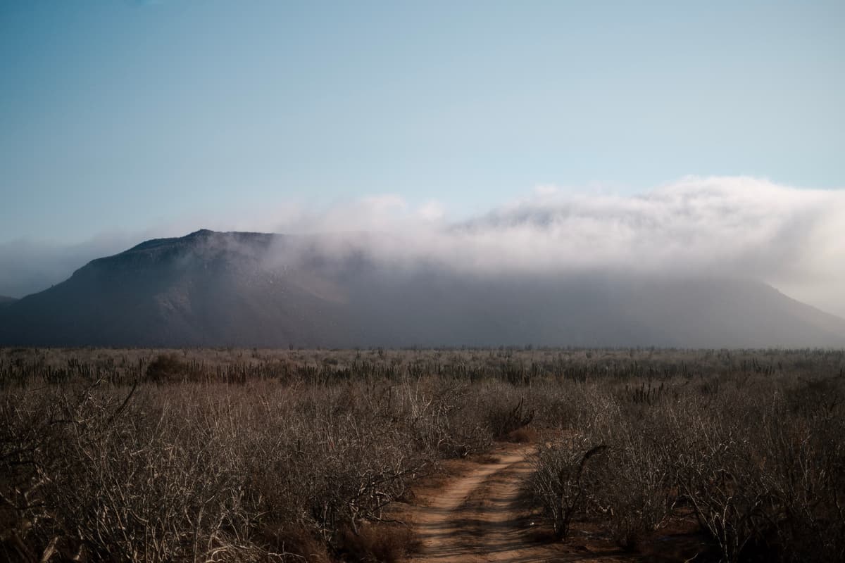 Road. Todos Santos, México.