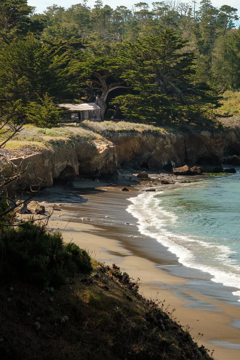 Point Lobos. California, USA.