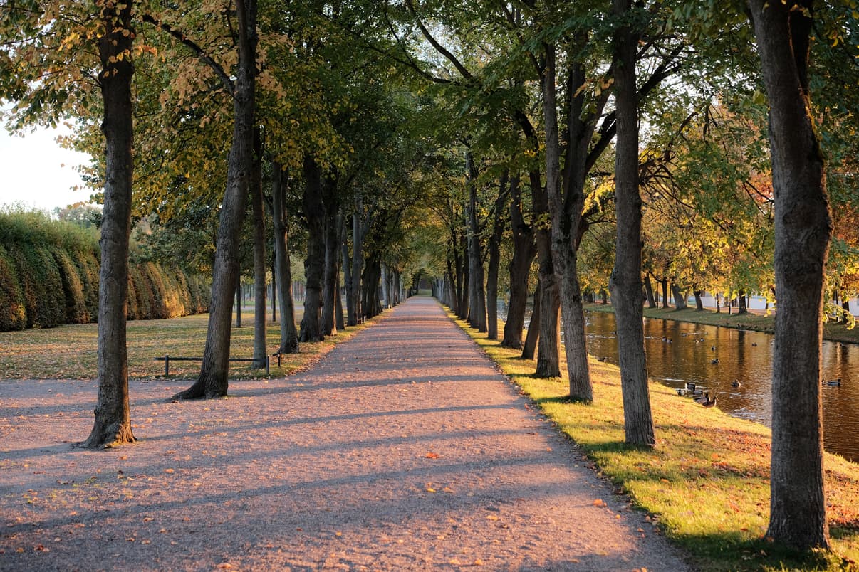 A beautiful path in Schwerin. Schwerin, Germany.