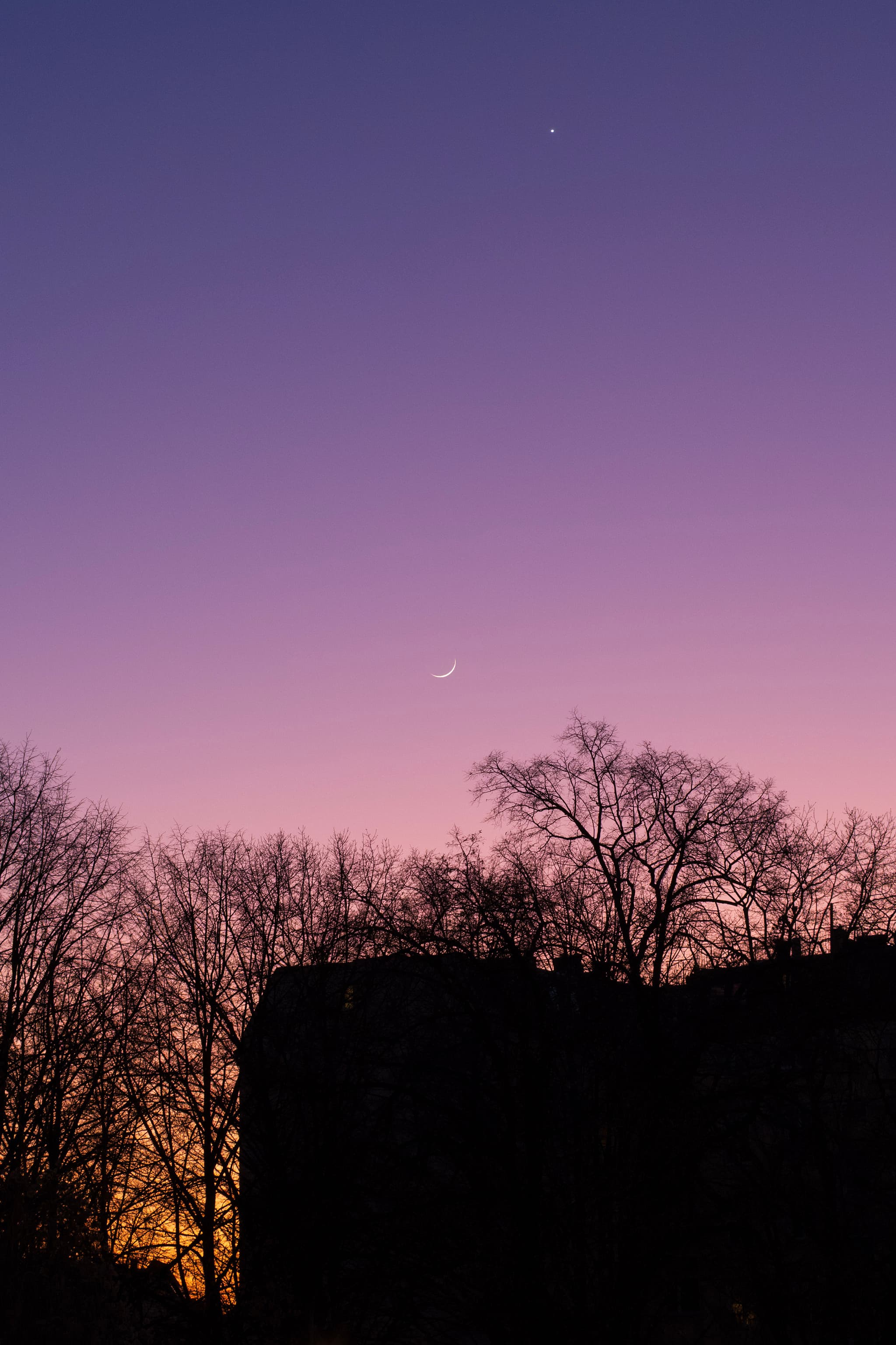 Maybe Venus. Berlin, Germany.