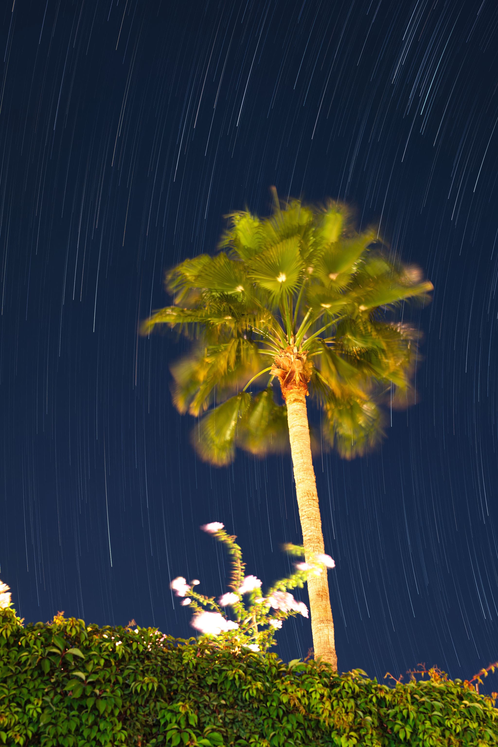 Star Trails 1. Cabo San Lucas, México.