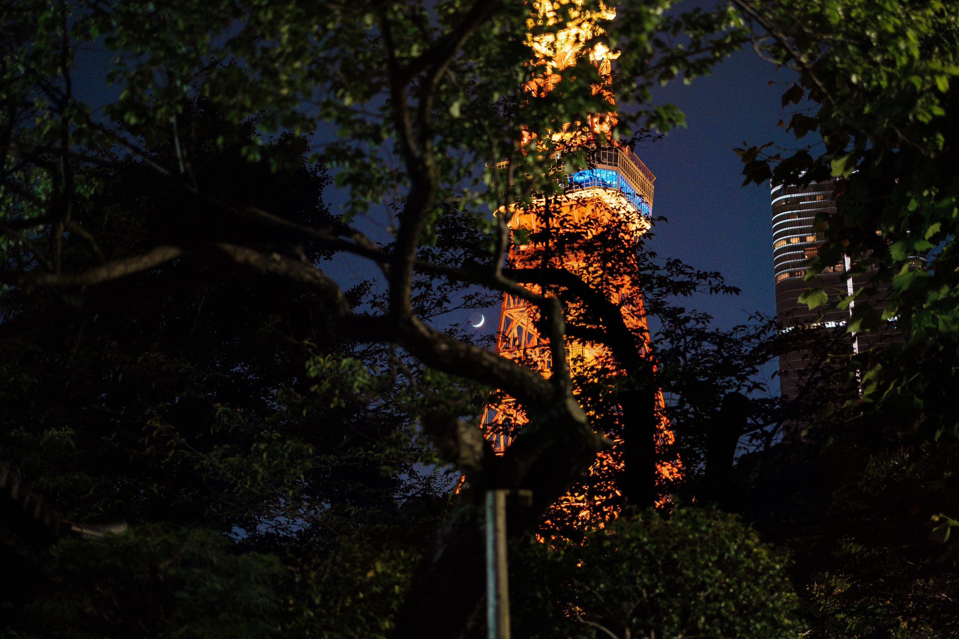 Moon. Tokyo, Japan