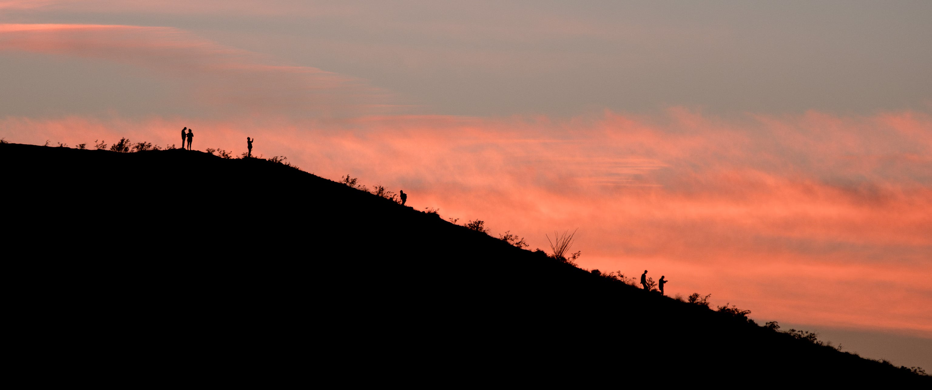 Silhouettes. Phoenix, USA.