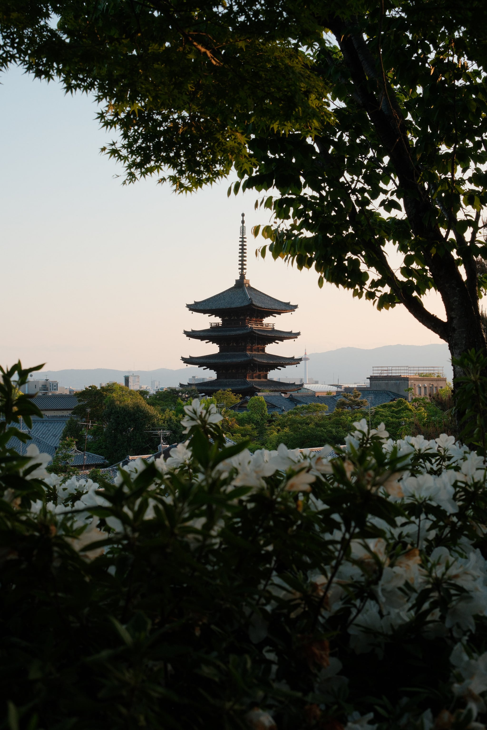 Gyon. Kyoto, Japan.