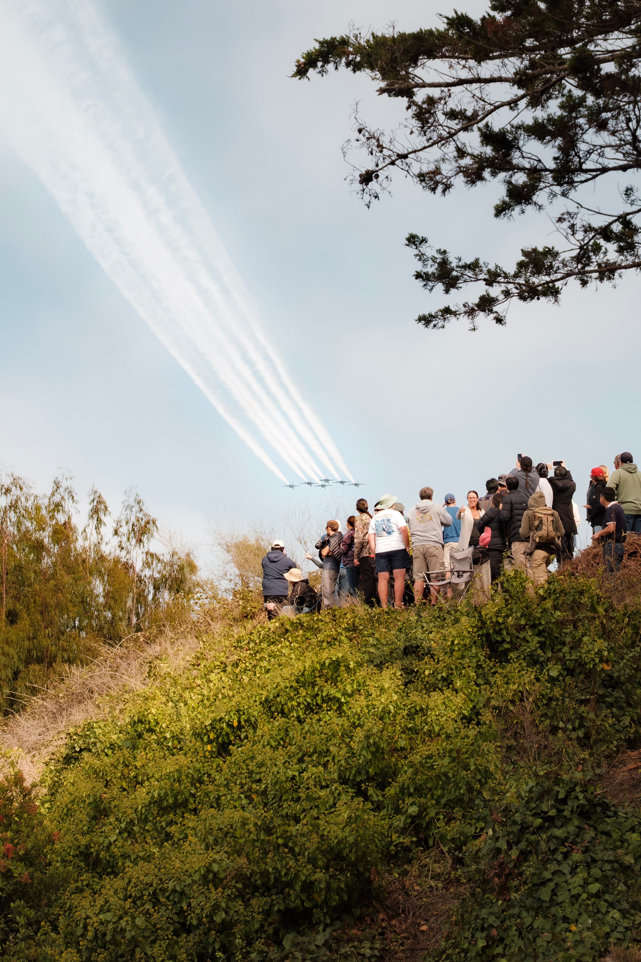 Blue Angels. San Francisco, USA.