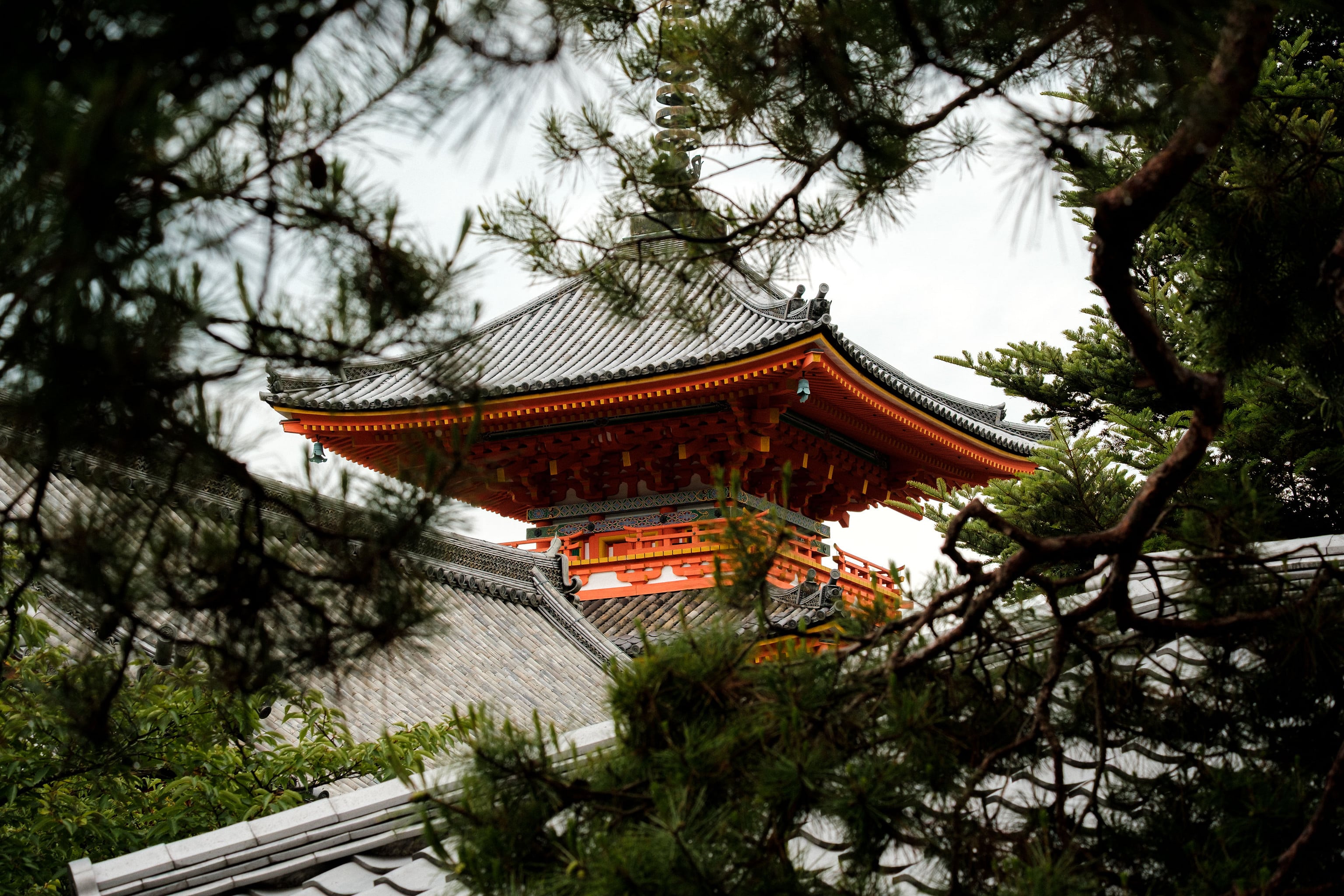 Gyon. Kyoto, Japan.